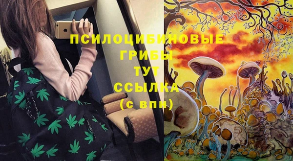 не бодяженный Россошь