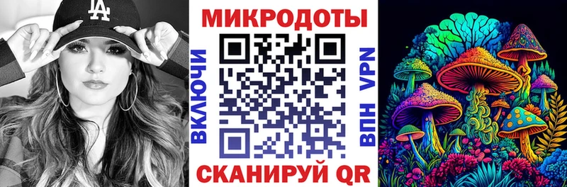 Галлюциногенные грибы GOLDEN TEACHER  купить наркоту  мега ссылки  Россошь 