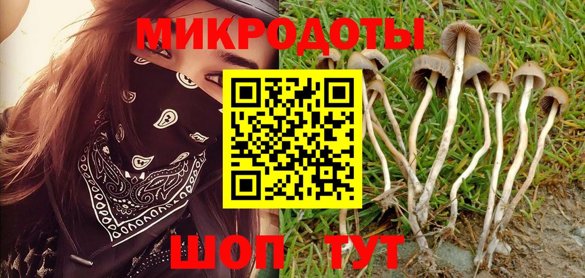 Галлюциногенные грибы ЛСД Россошь