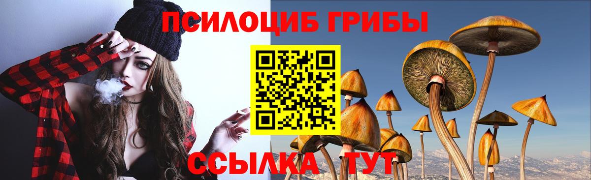 Россошь  Галлюциногенные грибы Psilocybe  Вход с VPN  дарнет шоп  Галлюциногенные грибы Psilocybine cubensis 